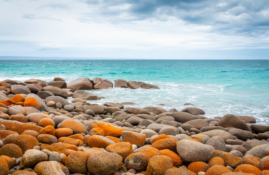 Jakie są najczęstsze choroby u kotów i jak im zapobiegać? 1 Jakie są najczęstsze choroby u kotów i jak im zapobiegać?